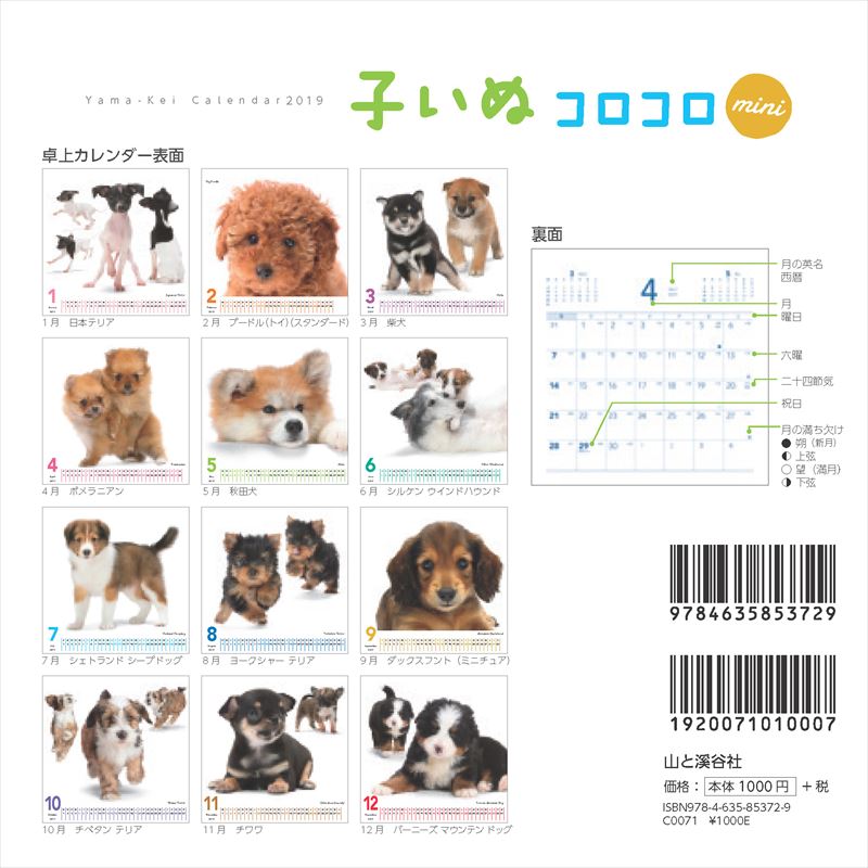 子いぬコロコロminiカレンダー（2019）（［カレンダー］）