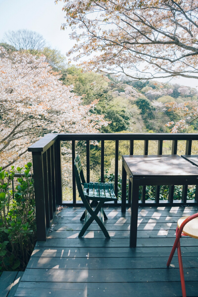 ����Фơ���Τ����[���������?]