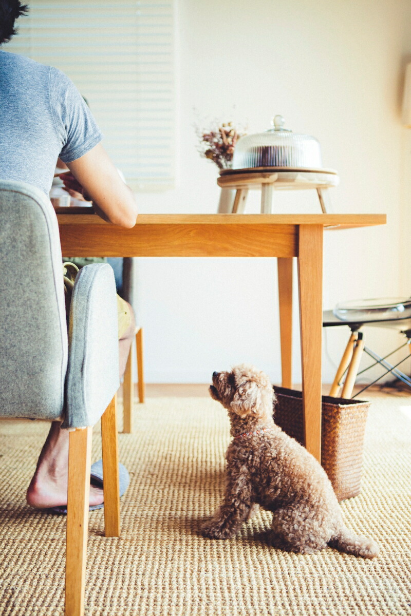 ����Фơ���Τ����[���������?]