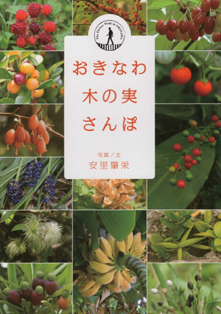 楽天ブックス おきなわ木の実さんぽ 安里肇栄 本