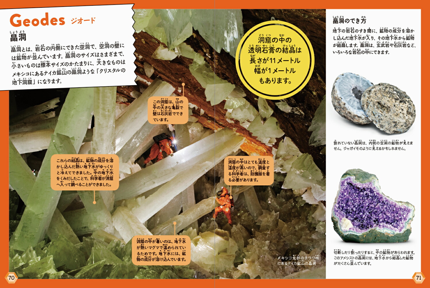 楽天ブックス: これだけは知っておきたい 岩石・鉱物図鑑 - デヴィン・デニー - 9784756253736 : 本