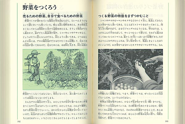 園芸図鑑花や野菜いっぱいの庭づくり（福音館の科学シリーズ）[さとうち藍]