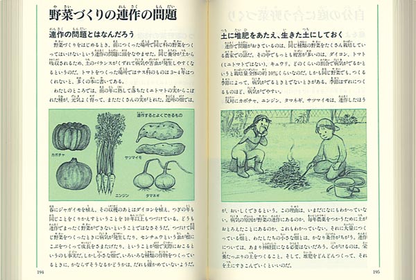 園芸図鑑花や野菜いっぱいの庭づくり（福音館の科学シリーズ）[さとうち藍]