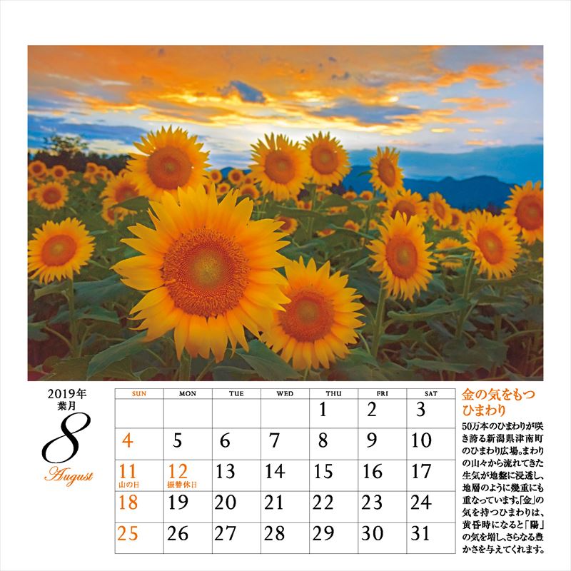 ����ͩ�ݥѥ���ݥå�����ǥ���������2019�ˡʡΥ��������ϡ�