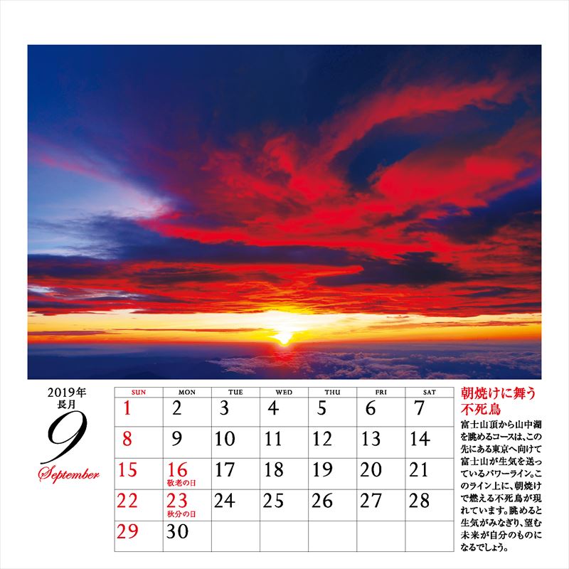 ����ͩ�ݥѥ���ݥå�����ǥ���������2019�ˡʡΥ��������ϡ�