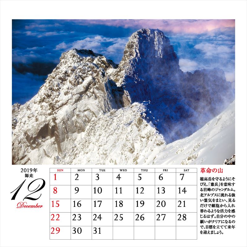 ����ͩ�ݥѥ���ݥå�����ǥ���������2019�ˡʡΥ��������ϡ�