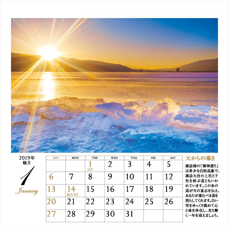 ����ͩ�ݥѥ���ݥå�����ǥ���������2019�ˡʡΥ��������ϡ�