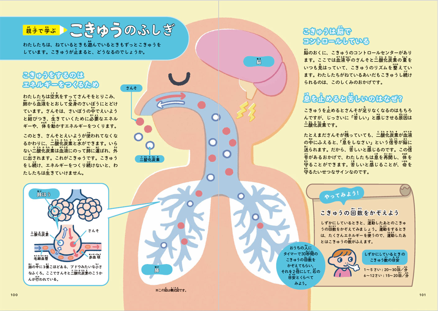 ぐんぐん考える力を育むよみきかせじんたいのお話20[生理学研究所]