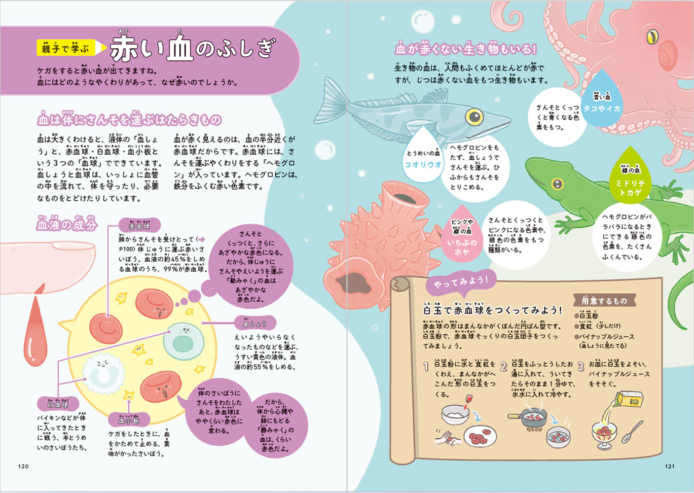 ぐんぐん考える力を育むよみきかせじんたいのお話20[生理学研究所]