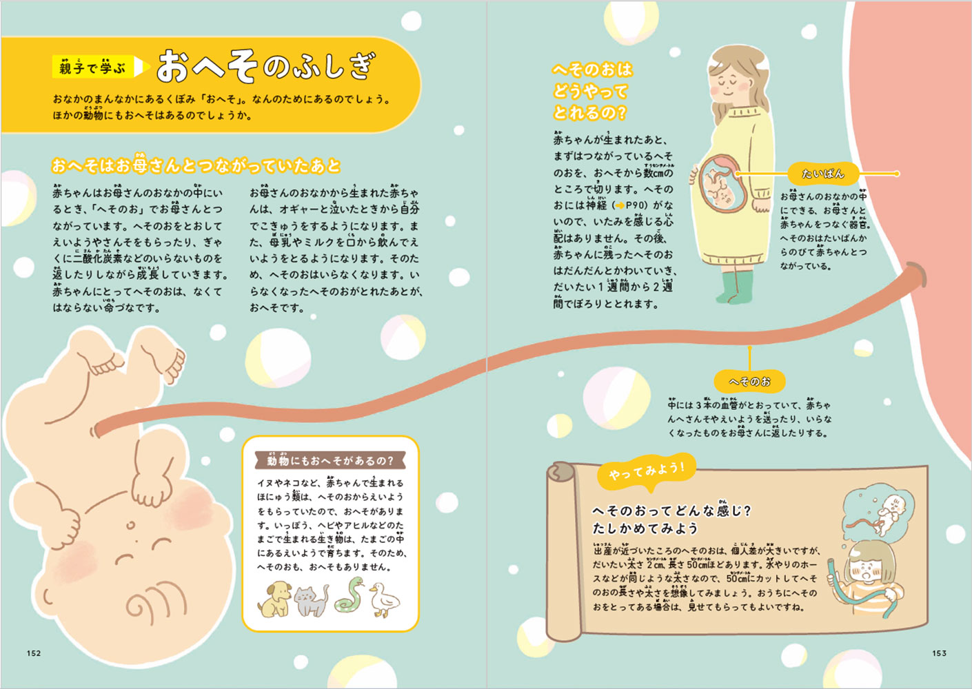 ぐんぐん考える力を育むよみきかせじんたいのお話20[生理学研究所]