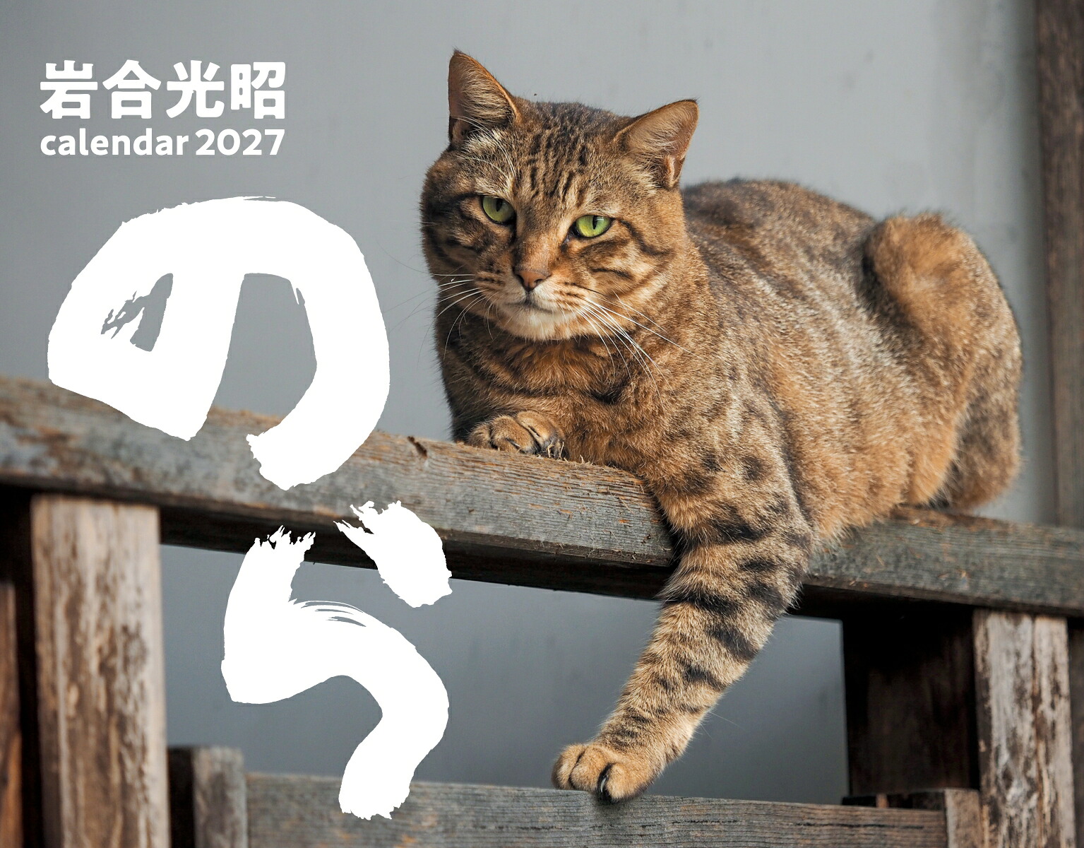 2027猫カレンダーのら[岩合光昭]