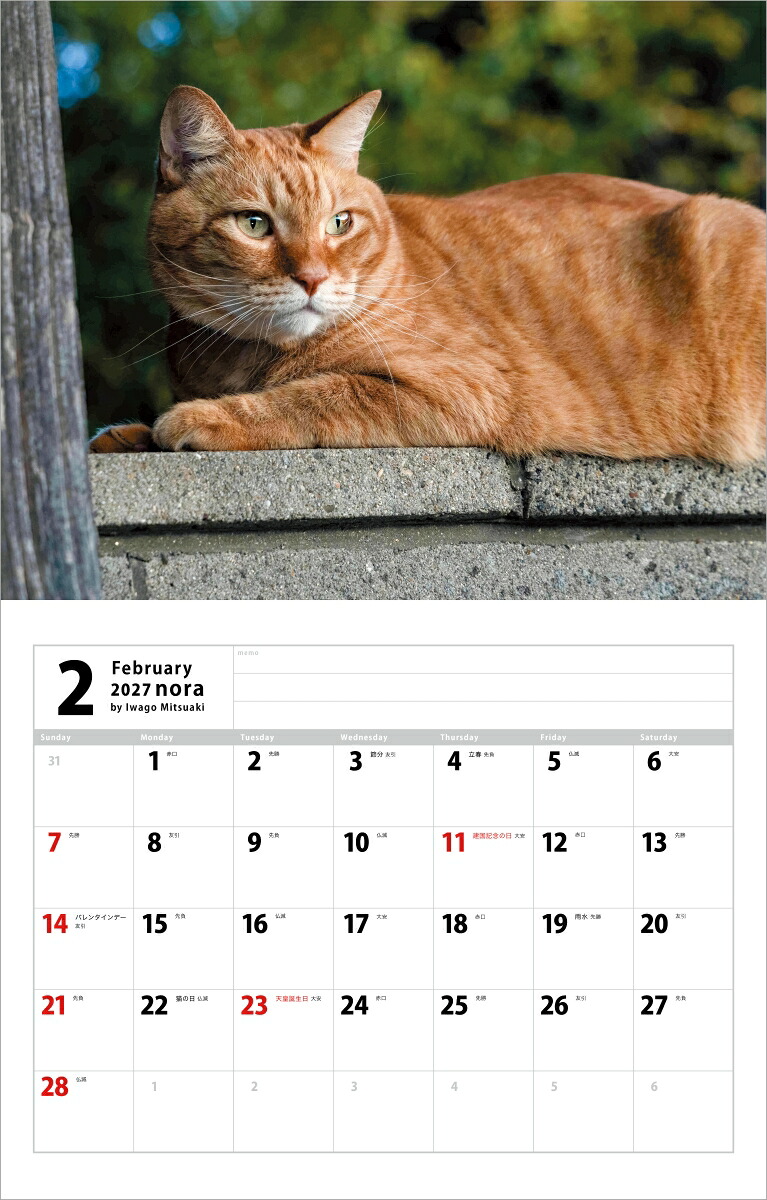 2027猫カレンダーのら[岩合光昭]
