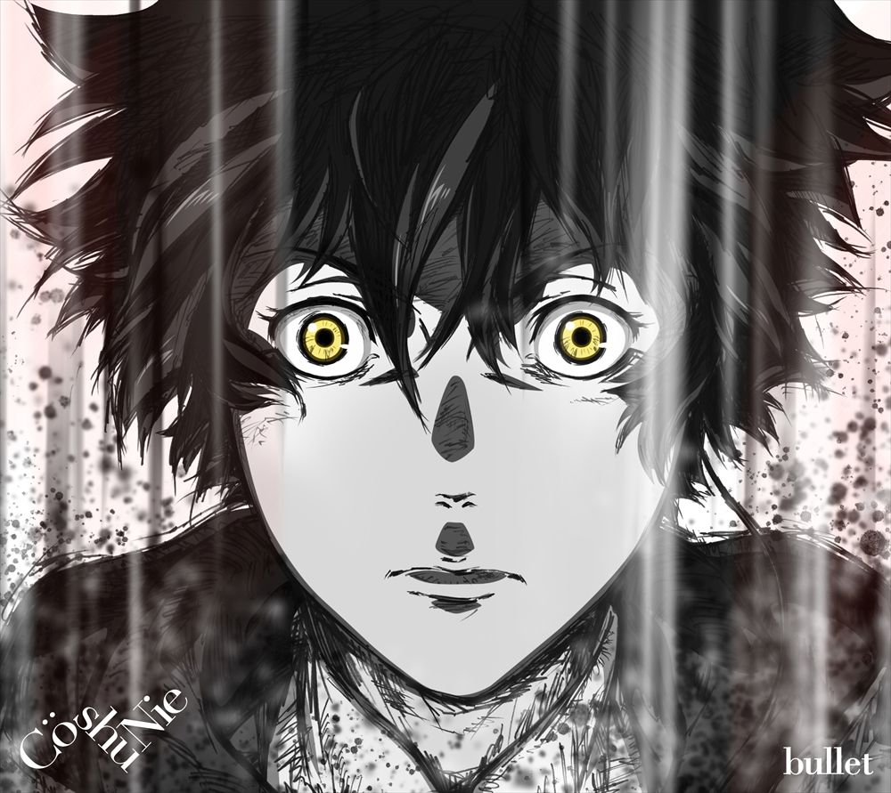 bullet(մBCDDVD)[CoshuNie]