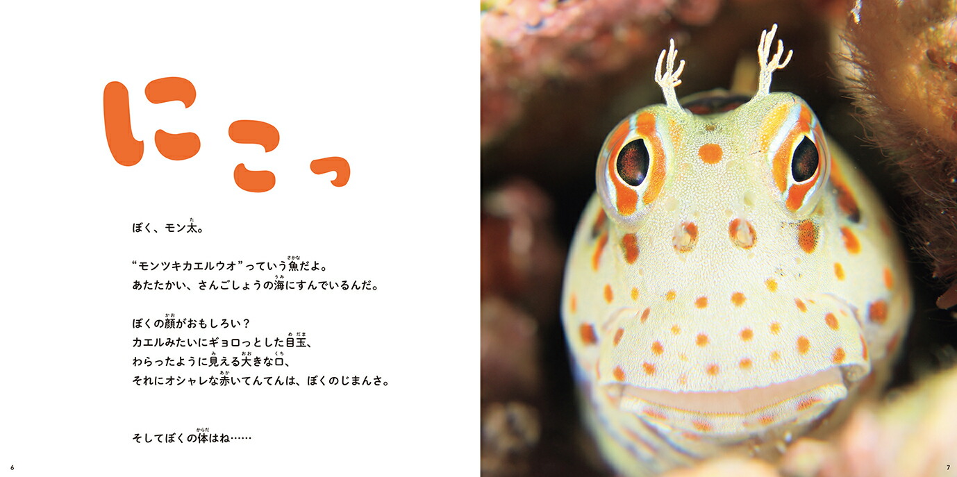にこにこモンツキカエルウオ[黒部ゆみ]