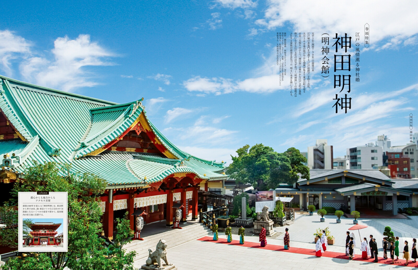 ���ܤη뺧��No.35�����襷�꡼����[IBJ�����ǥ���]