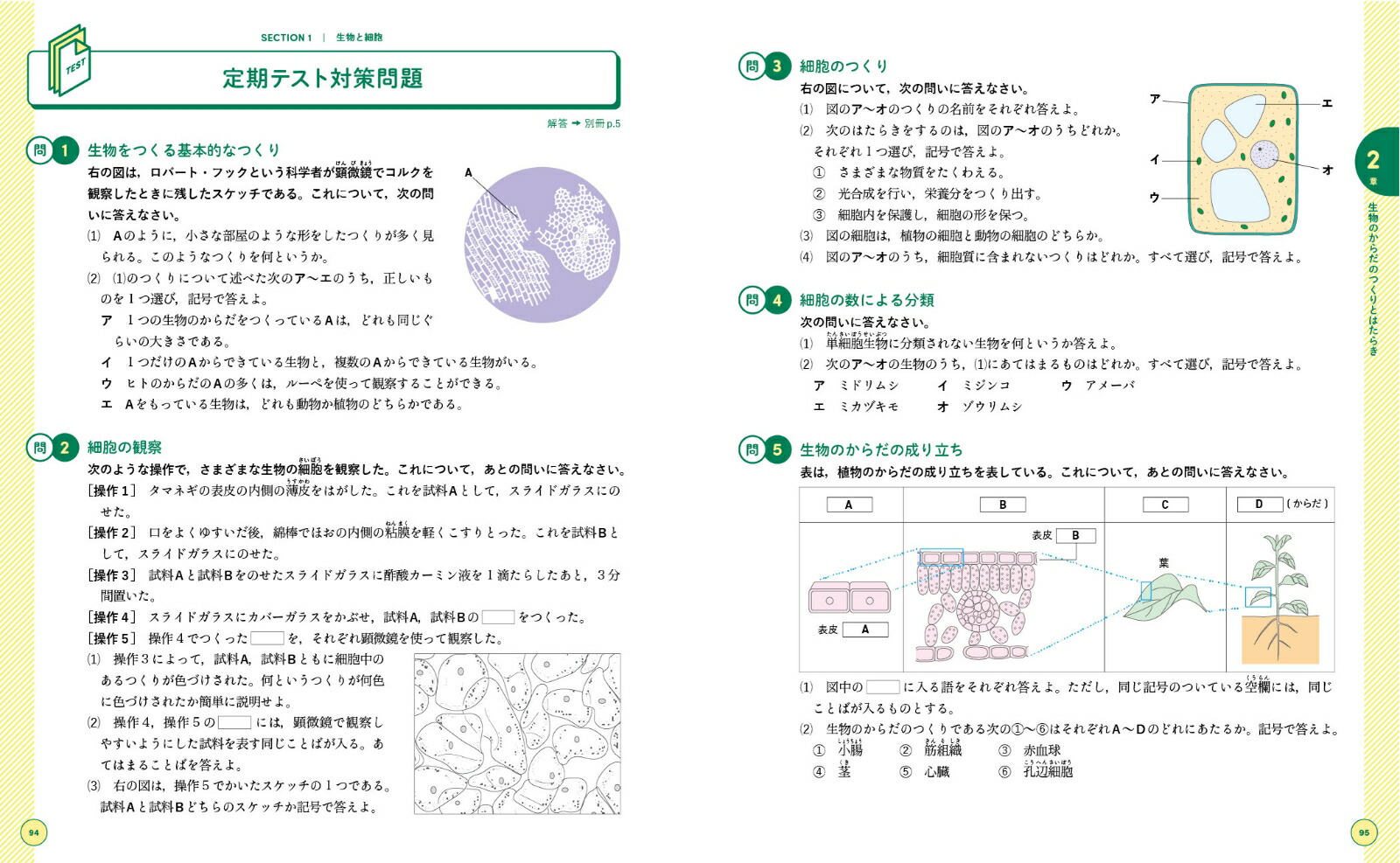 楽天ブックス くわしい 中2理科 鎌田 正裕 本