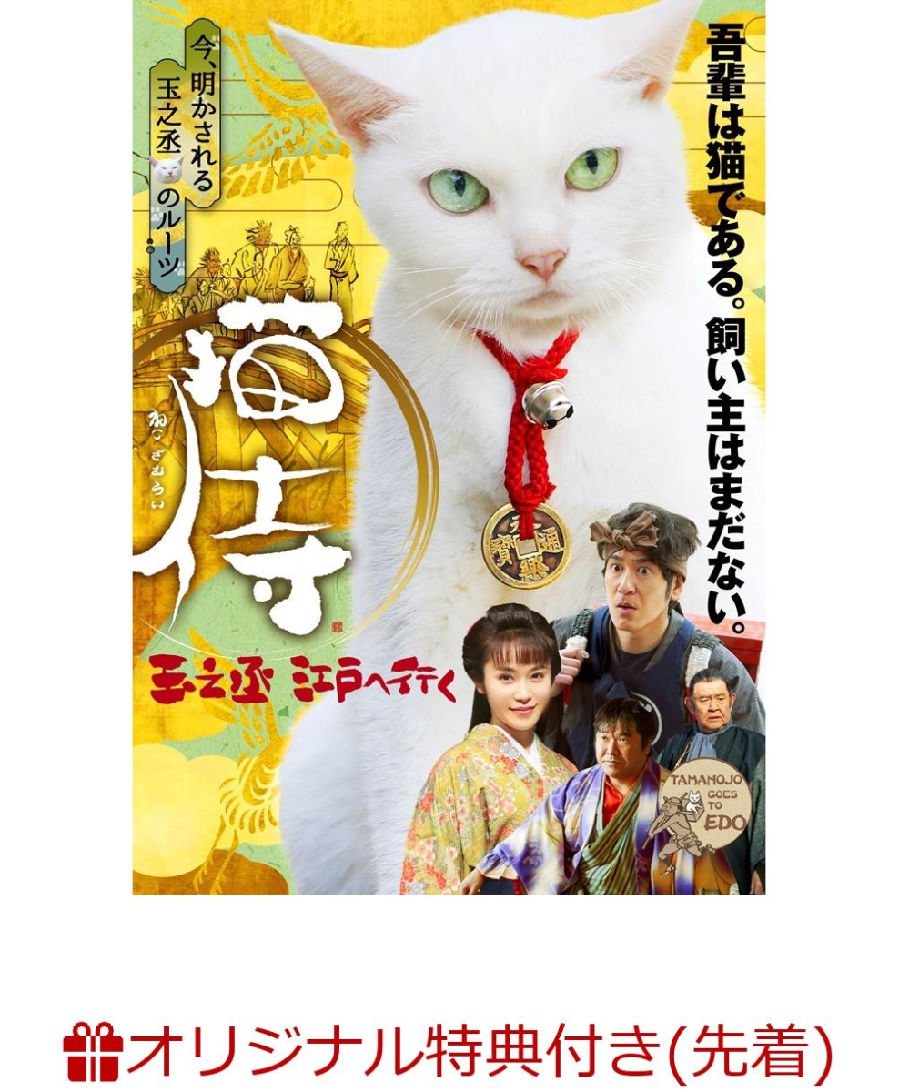 楽天ブックス 楽天ブックス限定 ポストカード付 スペシャルドラマ 猫侍 玉之丞 江戸へ行く 田中直樹 Dvd