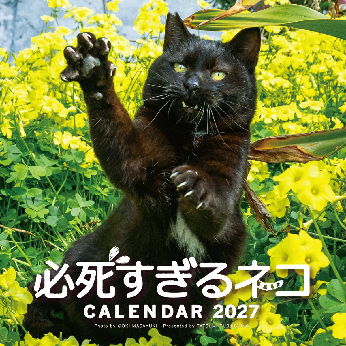 2027必死すぎるネコカレンダー[沖昌之]