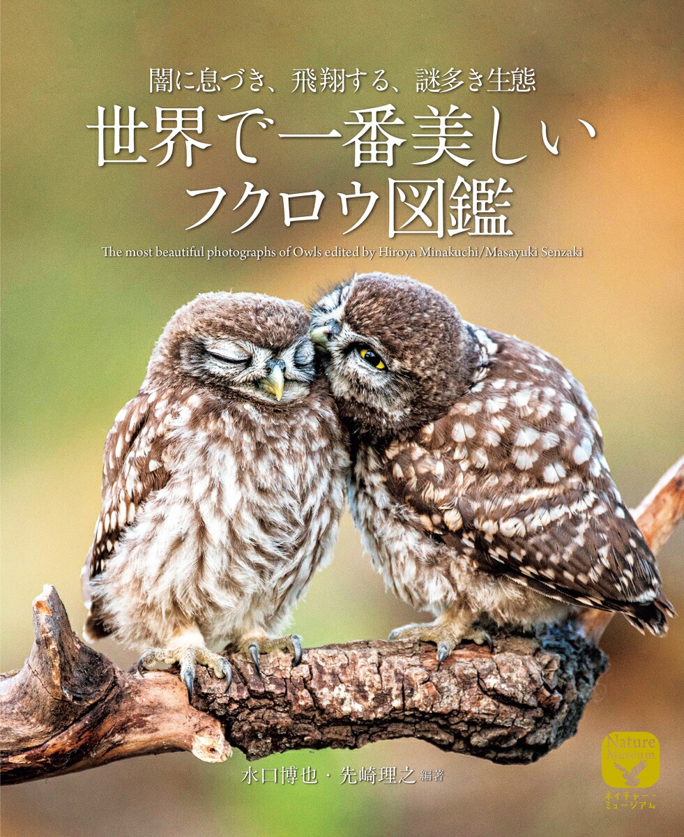 ǰե޴հǤ©ŤƤ롢¿֡ʥͥ㡼ߥ塼[Ƿ]