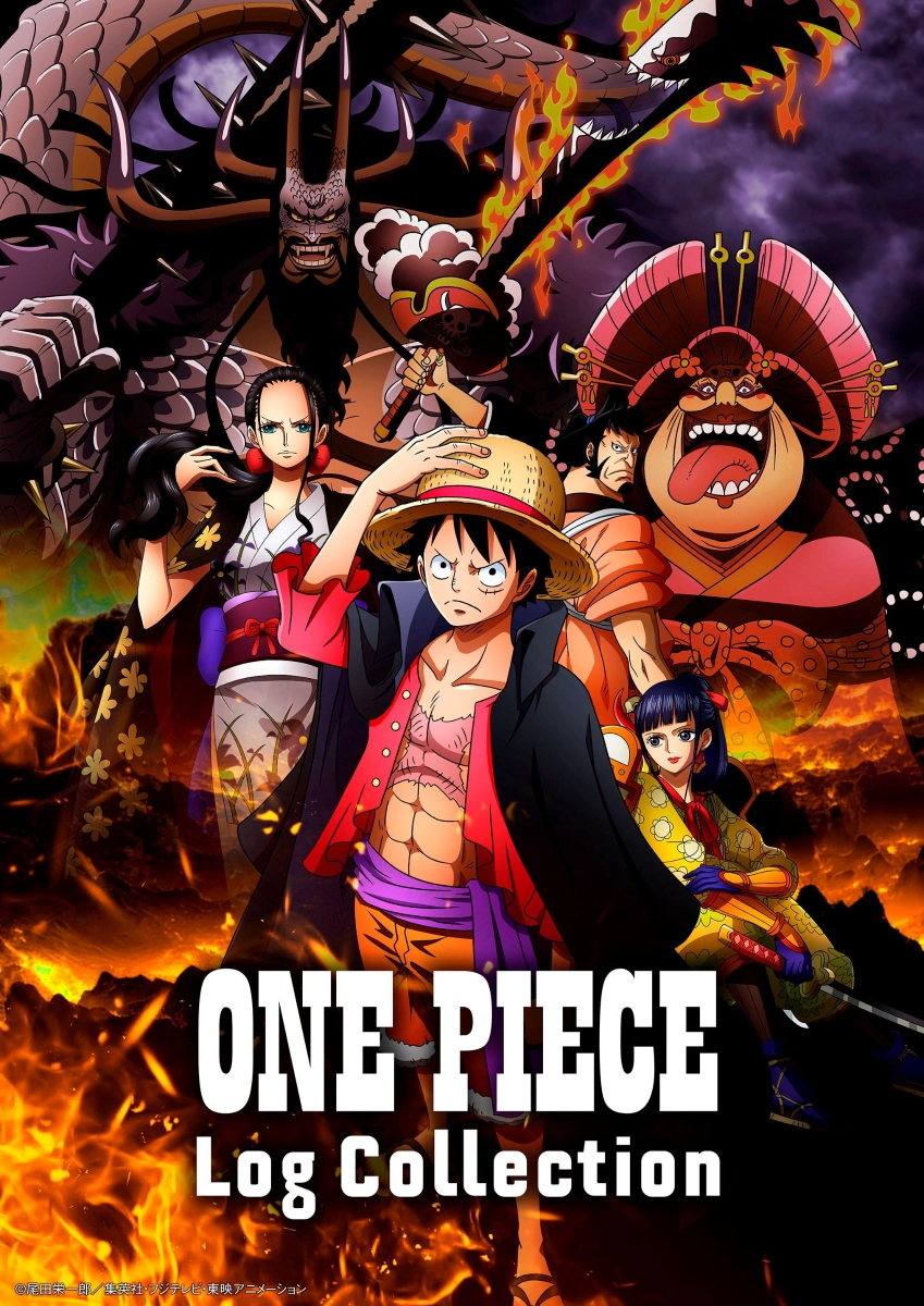 ONE PIECE Log Collection “KAIDO”画像