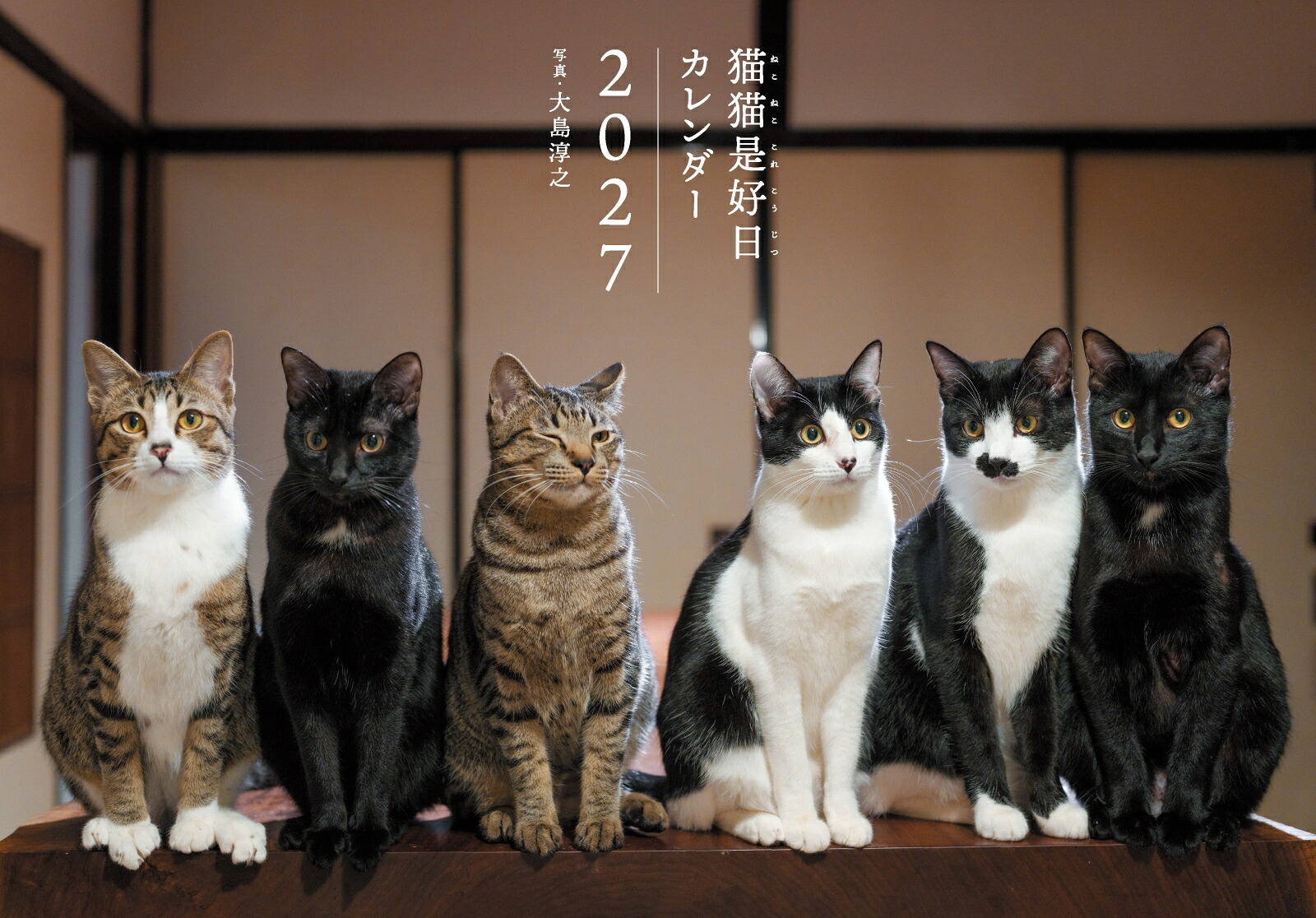 2027猫猫是好日[大島淳之]