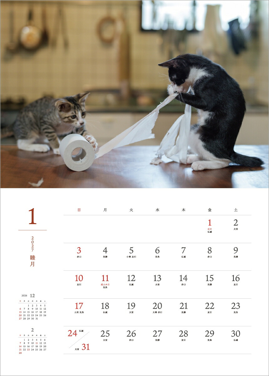 2027猫猫是好日[大島淳之]