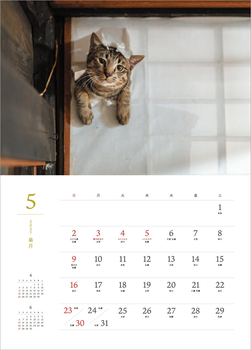 2027猫猫是好日[大島淳之]