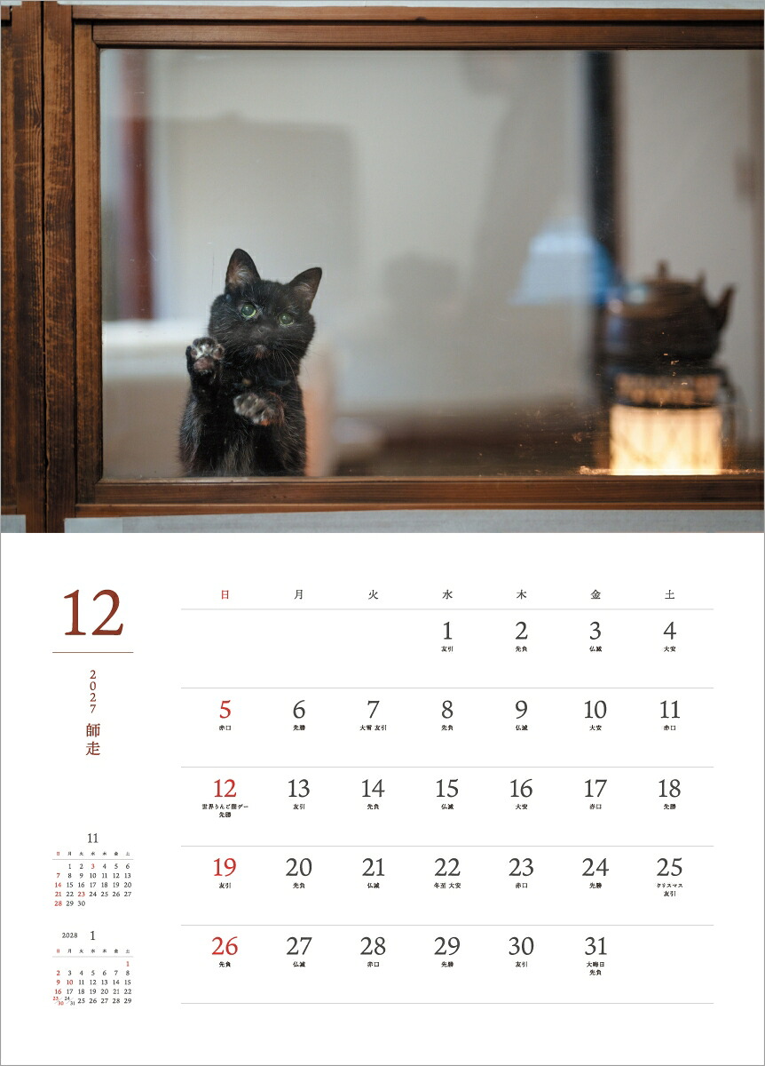 2027猫猫是好日[大島淳之]