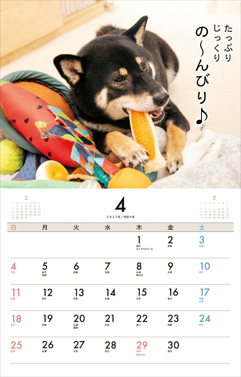 2027柴犬げんきなおはなしカレンダー[Shi-Ba編]