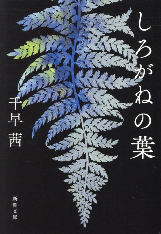 しろがねの葉画像