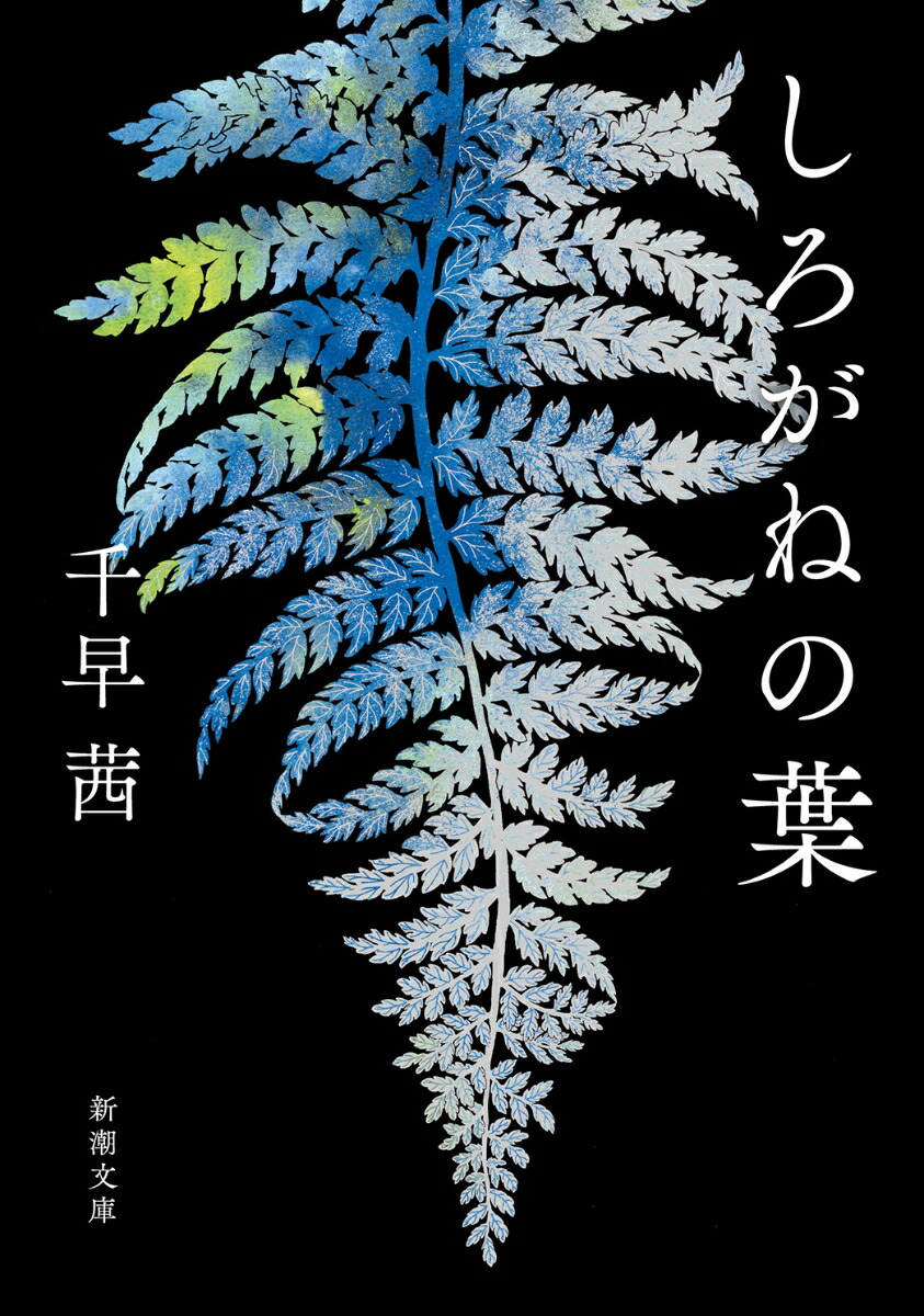 しろがねの葉画像