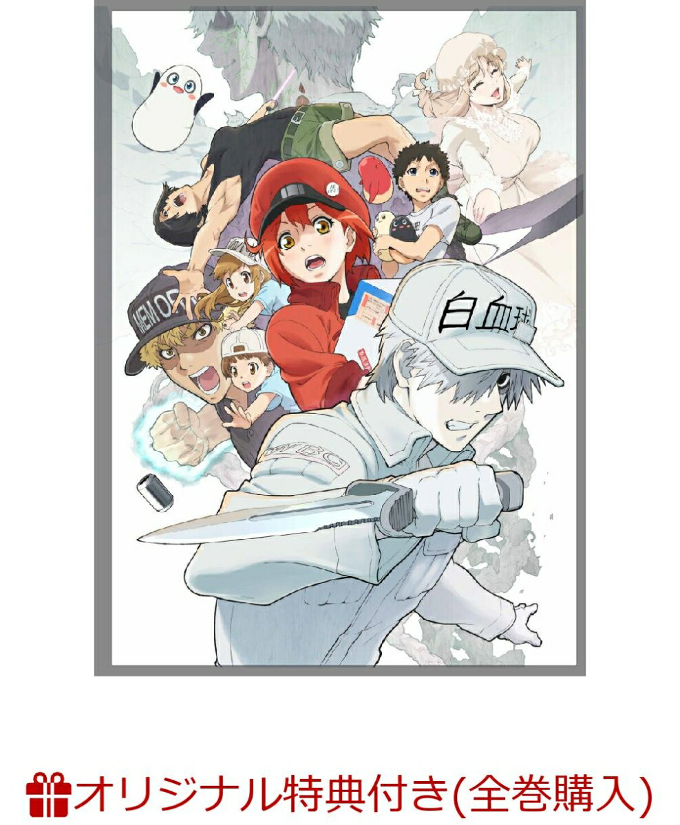 楽天ブックス 楽天ブックス限定全巻購入特典 全巻購入特典対象 はたらく細胞 2 完全生産限定版 血小板ちゃんのダボtシャツ 全巻収納box 花澤香菜 Dvd