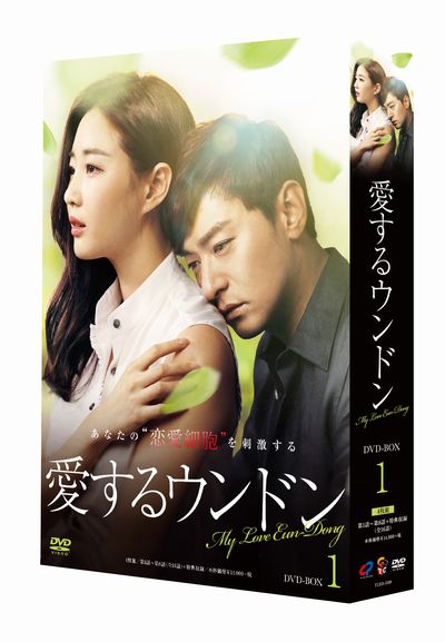 愛するウンドン DVD-BOX1