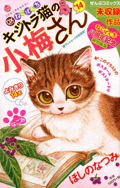 デラックスねこぱんちキジトラ猫の小梅さん（’14）　（にゃんCOMI）