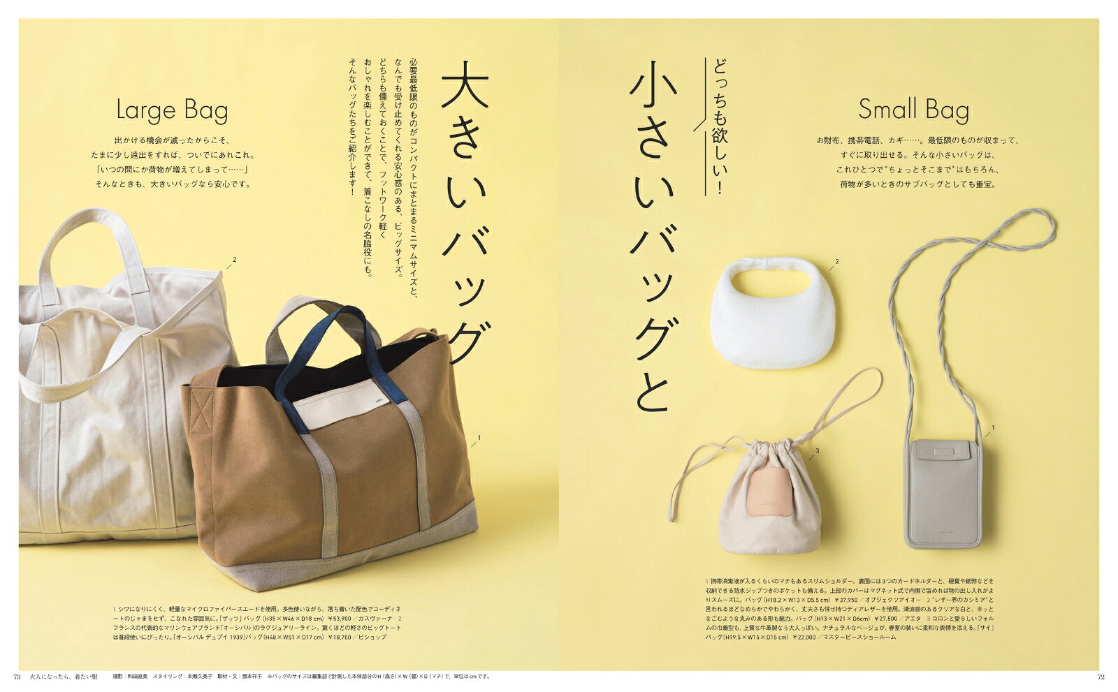 大人になったら、着たい服2022春夏（ナチュリラ別冊）[主婦と生活社]