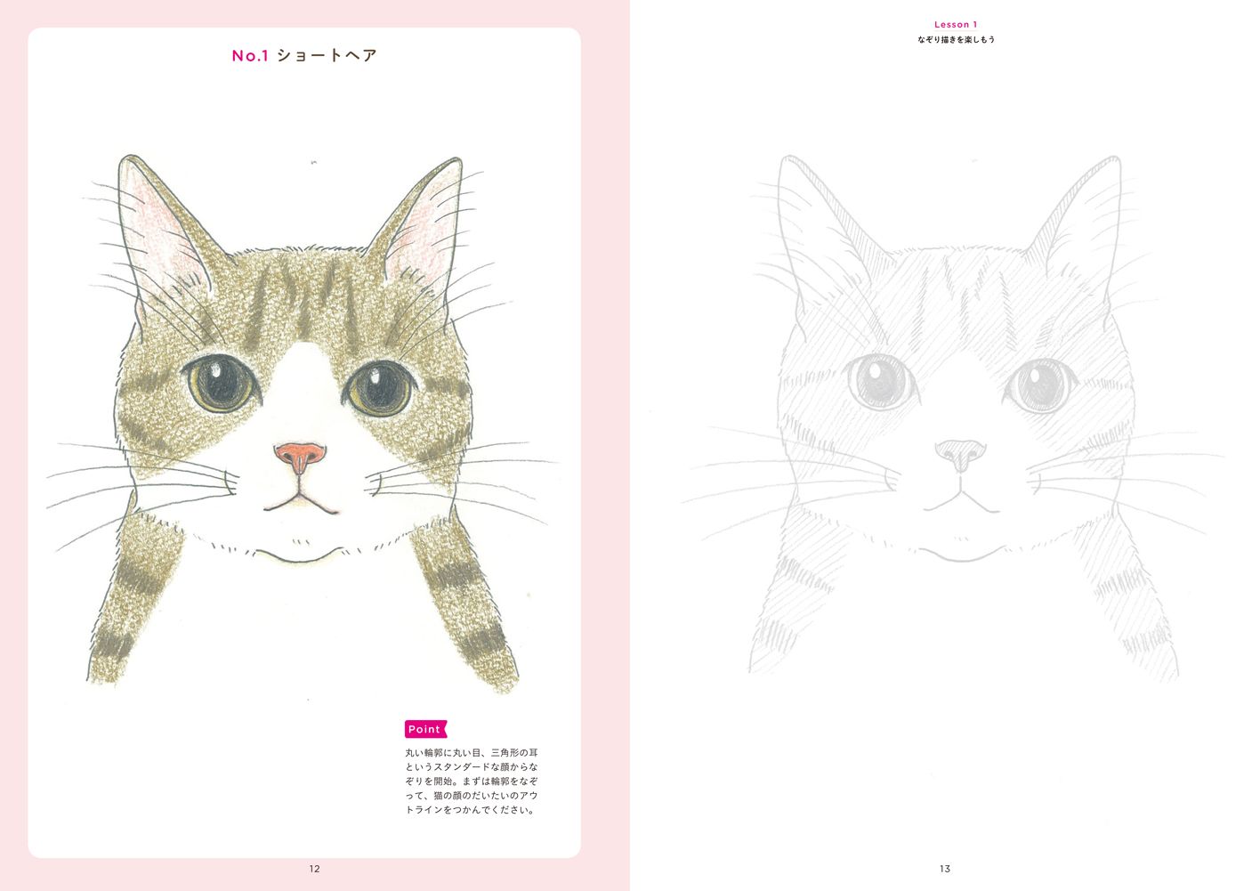 楽天ブックス うちの猫を描こう なぞりから始める かわいい猫の描き方 小泉 さよ 本