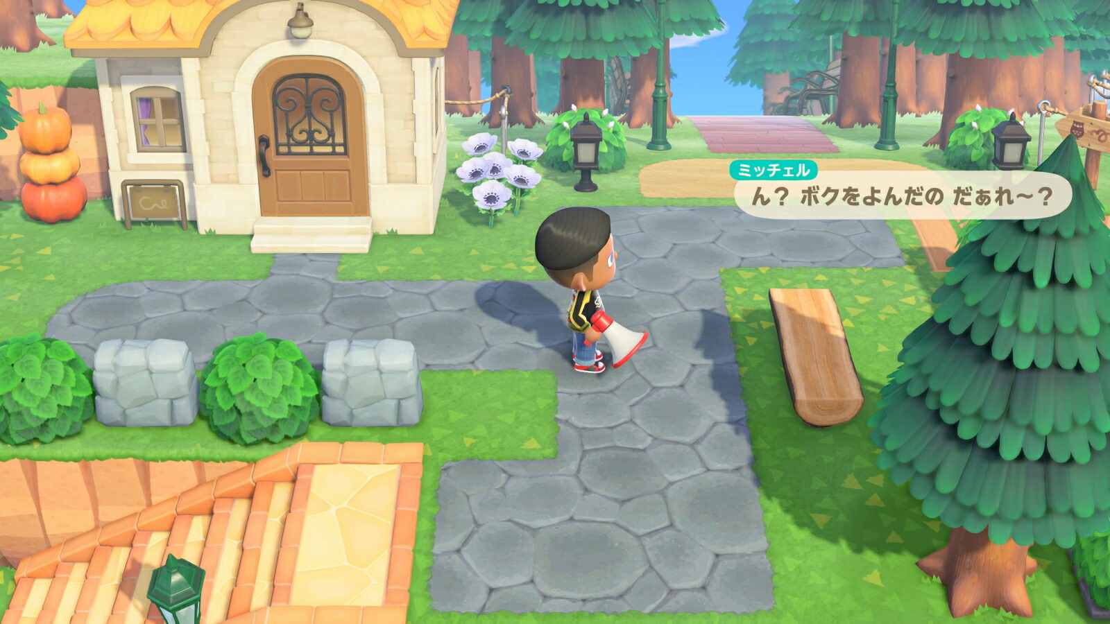 あつまれ どうぶつの森 Nintendo Switch 2 Edition