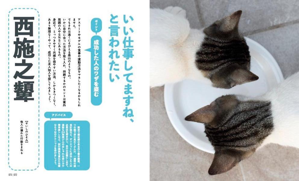 にゃんこダイエットモチベーションブック一念発起×初志貫徹痩せにゃいわけない辞典[ダイエット・モチベーション・クラブ]