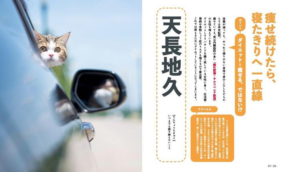 にゃんこダイエットモチベーションブック一念発起×初志貫徹痩せにゃいわけない辞典[ダイエット・モチベーション・クラブ]