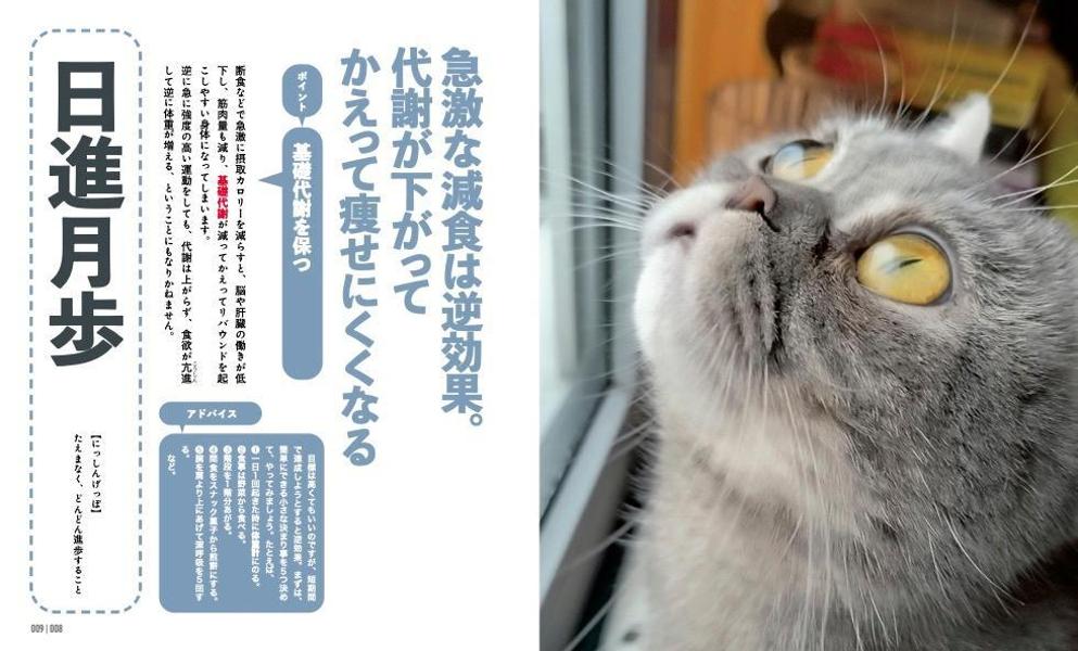 にゃんこダイエットモチベーションブック一念発起×初志貫徹痩せにゃいわけない辞典[ダイエット・モチベーション・クラブ]