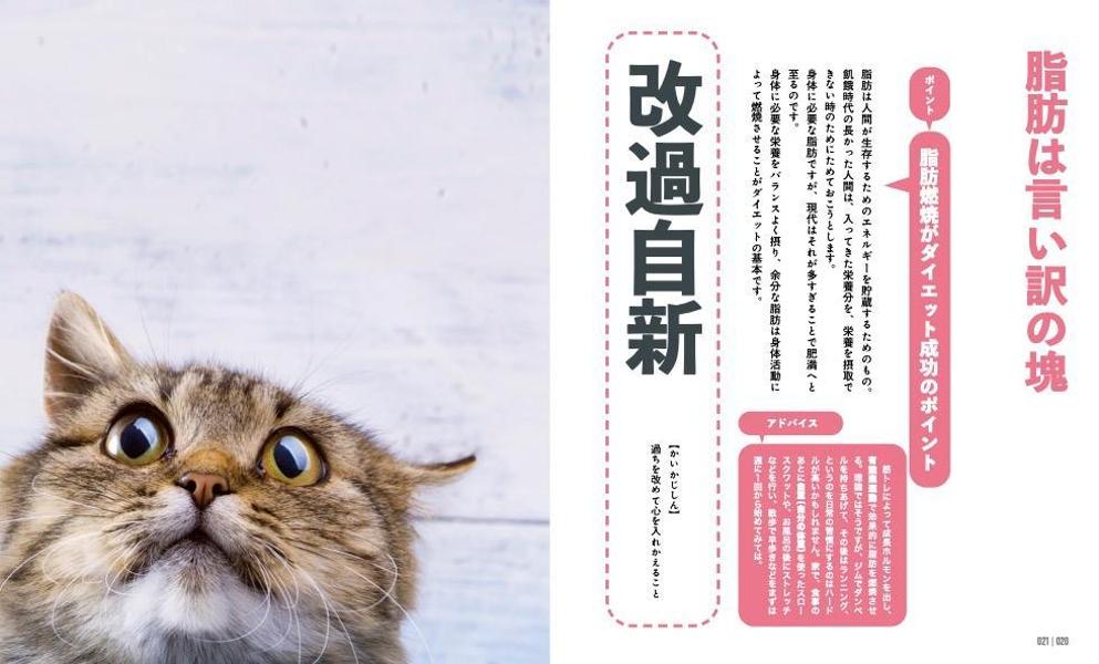 にゃんこダイエットモチベーションブック一念発起×初志貫徹痩せにゃいわけない辞典[ダイエット・モチベーション・クラブ]