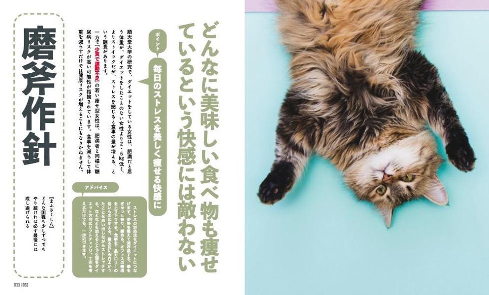 にゃんこダイエットモチベーションブック一念発起×初志貫徹痩せにゃいわけない辞典[ダイエット・モチベーション・クラブ]