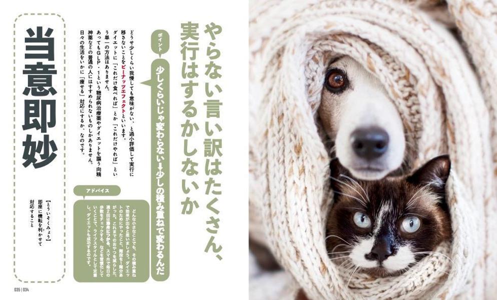 にゃんこダイエットモチベーションブック一念発起×初志貫徹痩せにゃいわけない辞典[ダイエット・モチベーション・クラブ]