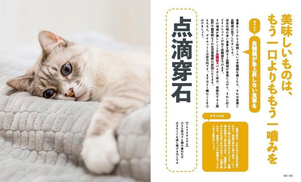 にゃんこダイエットモチベーションブック一念発起×初志貫徹痩せにゃいわけない辞典[ダイエット・モチベーション・クラブ]