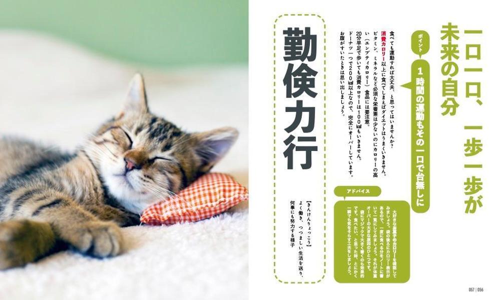 にゃんこダイエットモチベーションブック一念発起×初志貫徹痩せにゃいわけない辞典[ダイエット・モチベーション・クラブ]