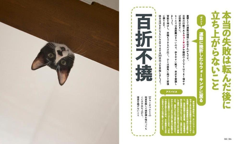 にゃんこダイエットモチベーションブック一念発起×初志貫徹痩せにゃいわけない辞典[ダイエット・モチベーション・クラブ]