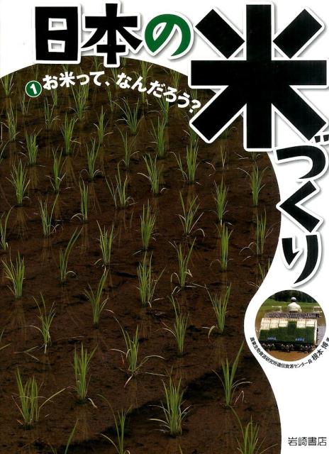 楽天ブックス: 日本の米づくり(1) - 根本博 - 9784265083916 : 本 楽天ブックス: 日本の米づくり(1) - 根本博 - 9784265083916 : 本