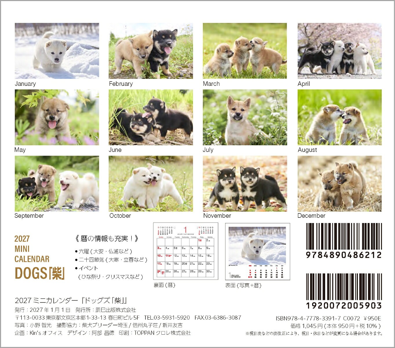 2027ミニカレンダードッグズ「柴」[小野智光]