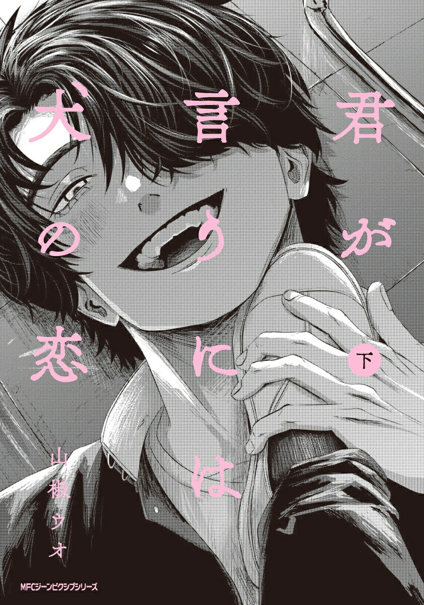 君が言うには犬の恋(下) 表紙