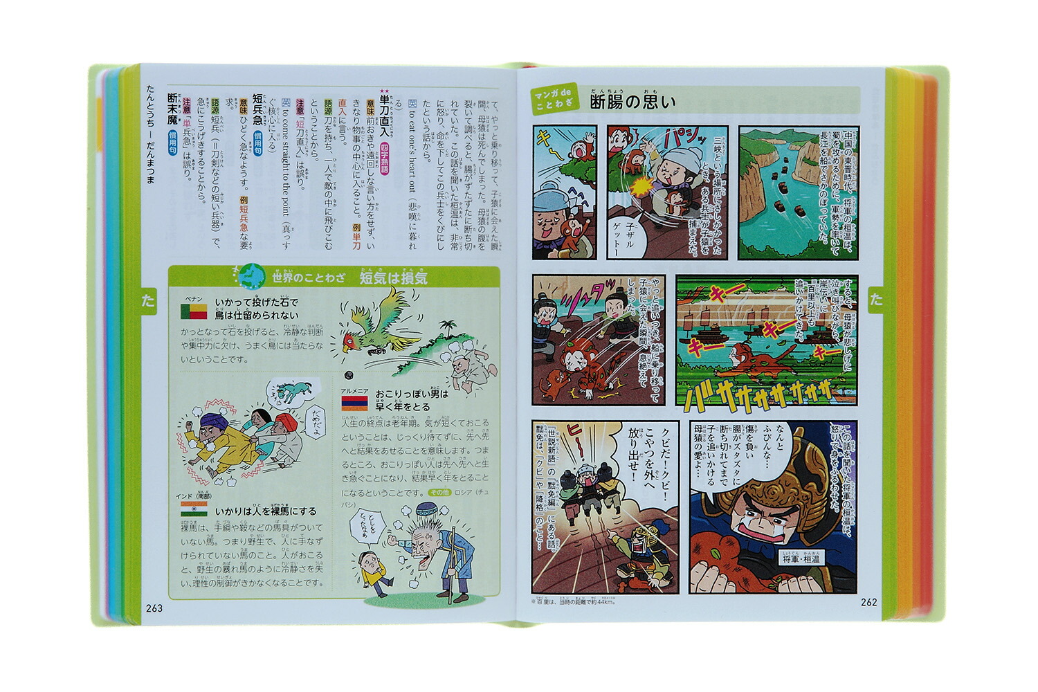 楽天ブックス 新レインボー小学ことわざ 四字熟語辞典 改訂第2版 オールカラー 金田一秀穂 本